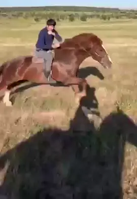 Атқа шаба білуде өнер😍Сізде үйренгіңіз келсе запиське жазылыңыз ! #рекомендации #рек #жылқы 