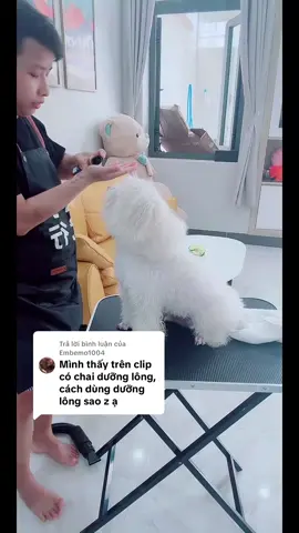 Trả lời @Embemo1004 Hướng dẫn sử dụng: TINH DẦU DƯỠNG LÔNG SHOW QUEEN • Tắm Cún sạch xong, sấy khô Cún khoản 70%, nhỏ 1-2 giọt vào lòng bàn tay, xoa đều rồi thoa lên lông Bé, sau đó sấy lại thật khô rồi chải lông cho Bé.  • Tạo hương thơm nước hoa dễ chịu, mùi thơm lâu, khử đi mùi hôi cơ thể các Bé. • Dưỡng lông bóng mượt. • Rất thích hợp với các dòng cún ra nhiều tuyến hôi, cún lông dày... #poodle #thucung #yeuthuongdongvat #chamsocthucungtainha 