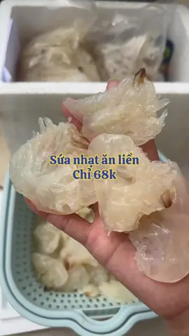 Chân sứa ép khô đã xử lí hết mặn ăn liền nhé #fyp #foryoupage #foryou #trending #ăncungtiktok 