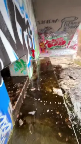 Exploring a hidden waterfall with tunnels   #urbanexploring #urbex #graffiti #explorer 