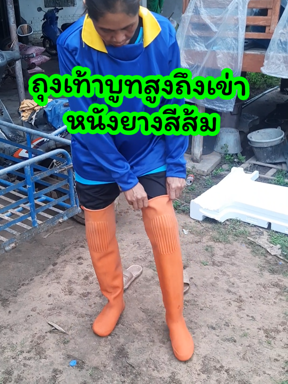 รองเท้าบูทยางพารา สีส้ม #รองเท้าบูทกันน้ํา #รองเท้าบูท #รองเท้าบูทสีส้มยางพารา 