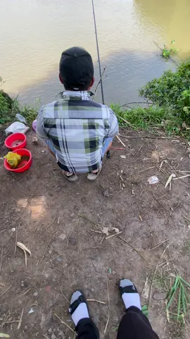 Tối về mất ngủ luôn