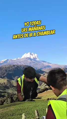 #CapCut #PremierRendiplus #sorpresa #humor #viral 