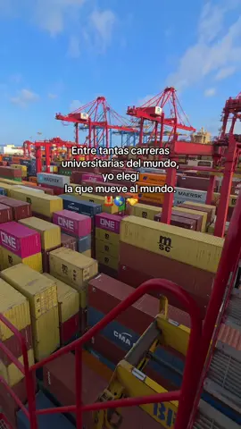 #negociosinternacionales #comerciointernacional #comercioexterior #aduanas #logistics 