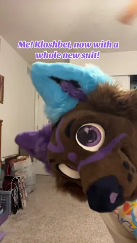 I am Back!!  Looking to do some fun new content so let me know what you all are interested in! - - #furry #fursuit #fursuiter #fursuiting #fursuitersoftiktok