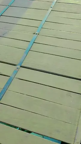 #মোগো বরিশাল 🌸💝💝💝