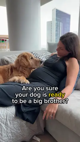 Best brothers ever. #goldens 
