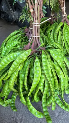 yakali gamau kak pete secakep ini🥰🫶#fyp #viral #wonogiri24jam #xyzbca #masukberandafyp #padahariini #wonogiritiktok #fypシ #wonogiri #peteasliwonogiri #masukberanda #wonogirihits 