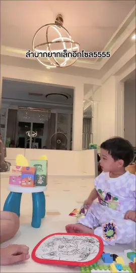 #ต้าวแฝดโซลโมเน่ 