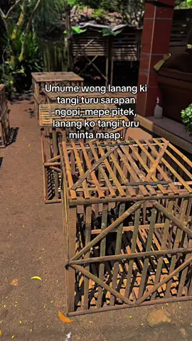 Sak sedotan gek turu😴