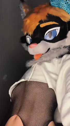 I may be slightly late but we ballin… | | | | | #furry #fursuit #furrytiktok #femboy #fyp 