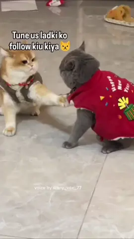 mujy asa dantnay wali chiyai ha