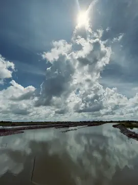 anh yeu em hơn the..