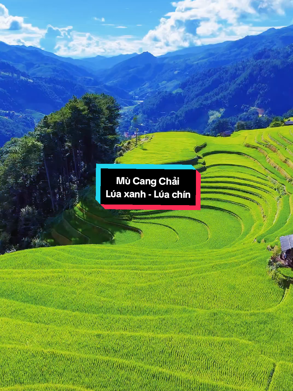 ✨️ MÙ CANG CHẢI - Nơi thiên nhiên tự vẽ nên bức tranh triệu view ✨️ 🌹Không phải Thụy Sĩ, cũng chẳng phải Bali, đơn giản chỉ là Mù Cang Chải, Việt Nam mà thôi ! 🥰  P/s: Đặt lịch hẹn hò với Mù Cang Chải cùng với Vũ ngay nhéee 😉 #mucangchai #yenbai #dulich #tourghep #xuhuong 