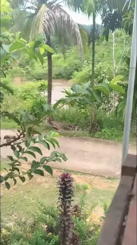 #tiktoklive #livehighlights