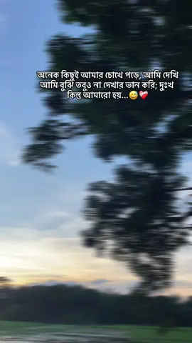 Part-347 দুঃখ আমারো হয় 😅❤️‍🩹 #trending #bdtiktokofficial #foryoupage #foryou #fyp @TikTok Bangladesh 