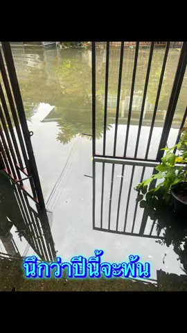 เมื่อไหร่จะถูกหวย รางวัลที่ 1 2 3 4 5 6 🤣 ทิ้งบ้านละไปหาเช่าอยู่ไหม จอดระระแวงทุกคืน 😩