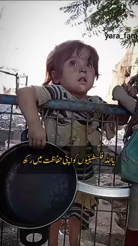 ghum beshomar#palestine#chocolate#fyp#1million #viral#cutebaby