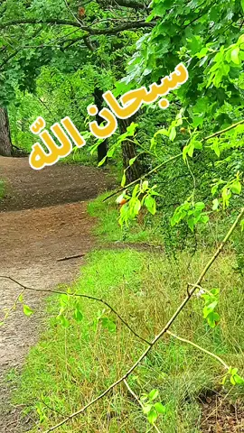 #CapCut #muslimtiktok #explore #subhanallah❤️ #marocko🇲🇦🇲🇦🇸🇪🇸🇪 
