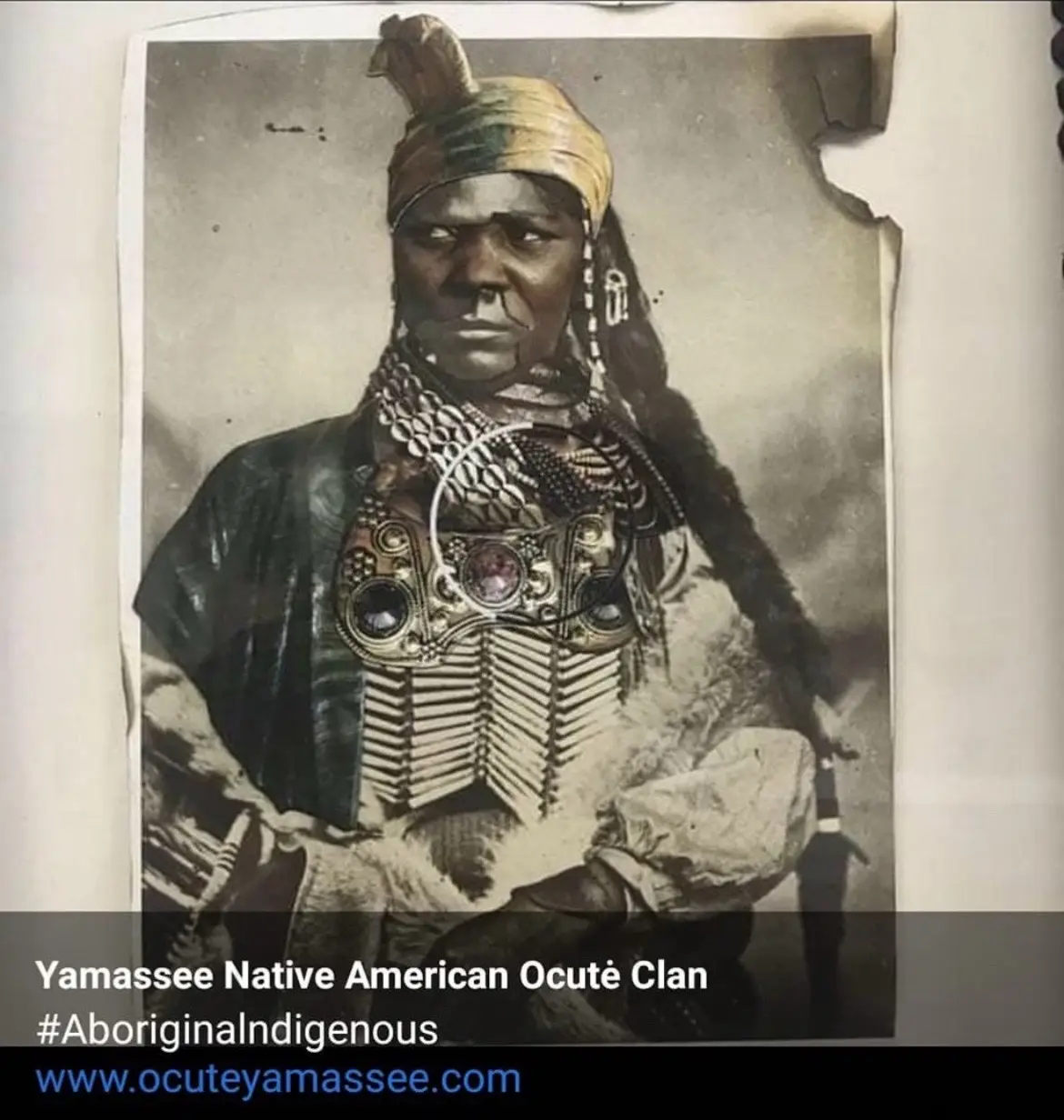 American Indian💯🍁🐢🍂🪶🪓🔥🏹🦅🫡😎💪🏾