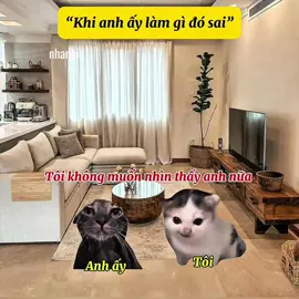 Khi tôi giận anh ấy #meme #cat #viral 