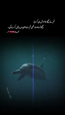 تم نے تو مجھے خاموش ہی کر دیا مجھے تو عادت تھی تم سے ڈھیروں باتیں کرنے کی  #1millionaudition #aesthetic #foryou #foryoupagе #tranding 