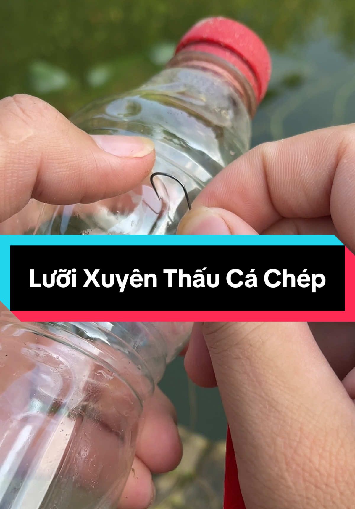 Lưỡi Xuyên Thấu Cá Chép Vỉ 100 Lưỡi #cauca #ngovanquan68 #caucagiaitri 