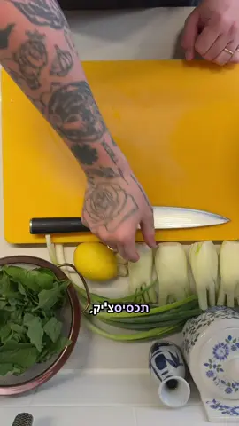 #תכסיסציק קציצות שומר לאריה ❤️ #תכסיס 