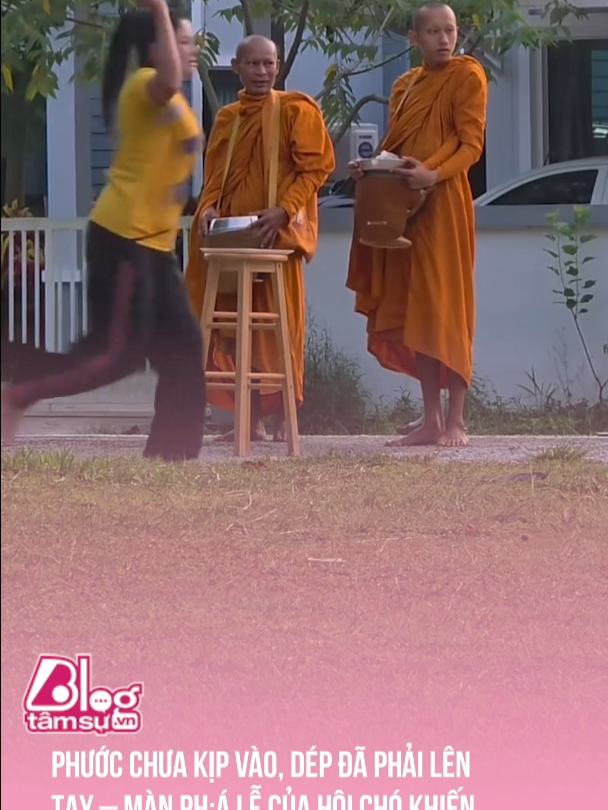 Mới có chút phước cái xài liền ☺️ #btsmedia #blogtamsu #discovery #khampha #video #viral #videoviral #trending #xuhuong #clips #facts #fact #khoanhkhac #explore #explorer #exploration #funny #funnyvideo #haihuoc #giaitri
