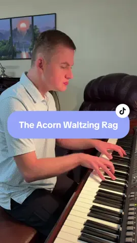 The Acorn Waltzing Rag 🐿️ Day 1,991 Feel Good Songs. Tyson performs his own composition, The Acorn Waltzing Rag. #piano #blind #blindpianist #blindmusician #ragtime 