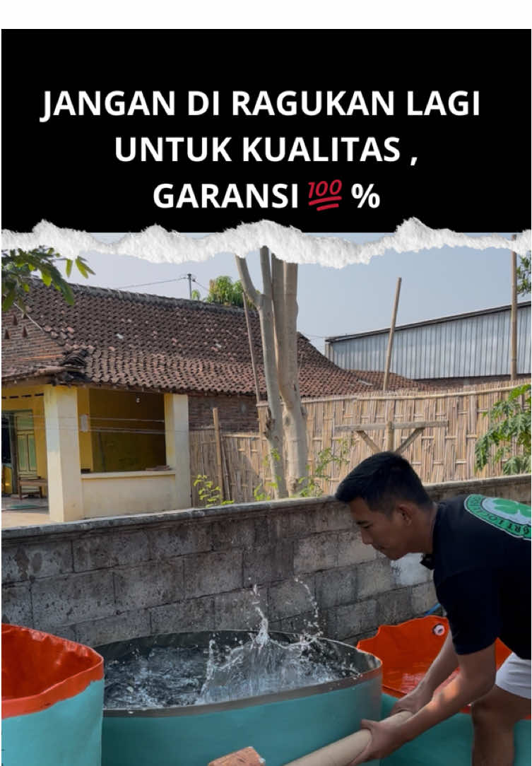 Membalas @Ety Bahar ga usah ragu lagi untuk ketahanan kolam kami 👍🏻#ypfッ #kolamterpal #kolamtanparangka #mandirikolam #terpal 
