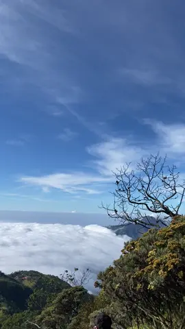 merapi+lawu+lautan awan❤️‍🔥               #merbabu #merbabumountain #pendaki #fyp #view @merbabu via selo 