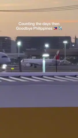 See you soon abroad❤️ for future🙏. #flight #abroad