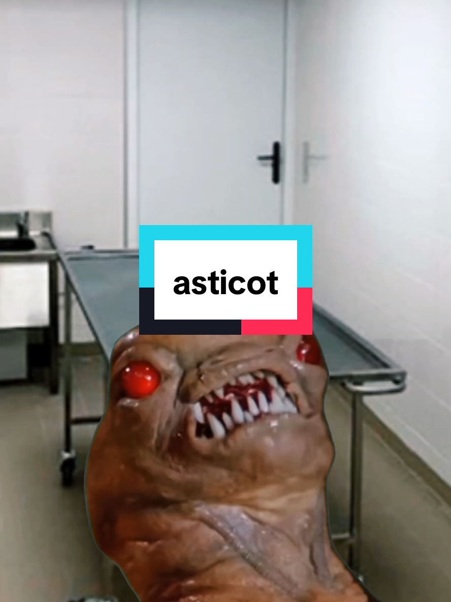 🪱 Très rapidement après le décès, les premières escouades de mouches viennent pondre sur le défunt quand celui-ci est en extérieur (ou si la pièce comporte une fenêtre/porte ouverte).  Il s'agit de mouches (Diptères) dont le rôle est primordial dans le processus de décomposition.  Ces insectes sont capables de détecter la présence d'un défunt sur plusieurs kilomètres de distance. Les asticots issus de ces pontes de mouches peuvent être très nombreux et leur présence fait partie du cycle naturel de décomposition.  Les asticots sont des organismes extrèmement résistants : peu de biocides en viennent à bout... ni le formol, ni d'autres additifs (pourtant réputés contre le tissu-gaz!) ne parviennent à les détruire.  Tout comme les mouches, leur présence est redoutée par les professionnels du secteur funéraire 🙈 #Meme #MemeCut #CapCut 