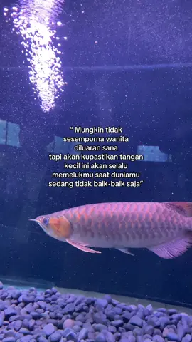 #berandatiktok #foryoupagе #storywa 