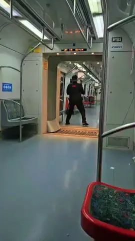 Pegue o pombo, pegue o pombo 🎶