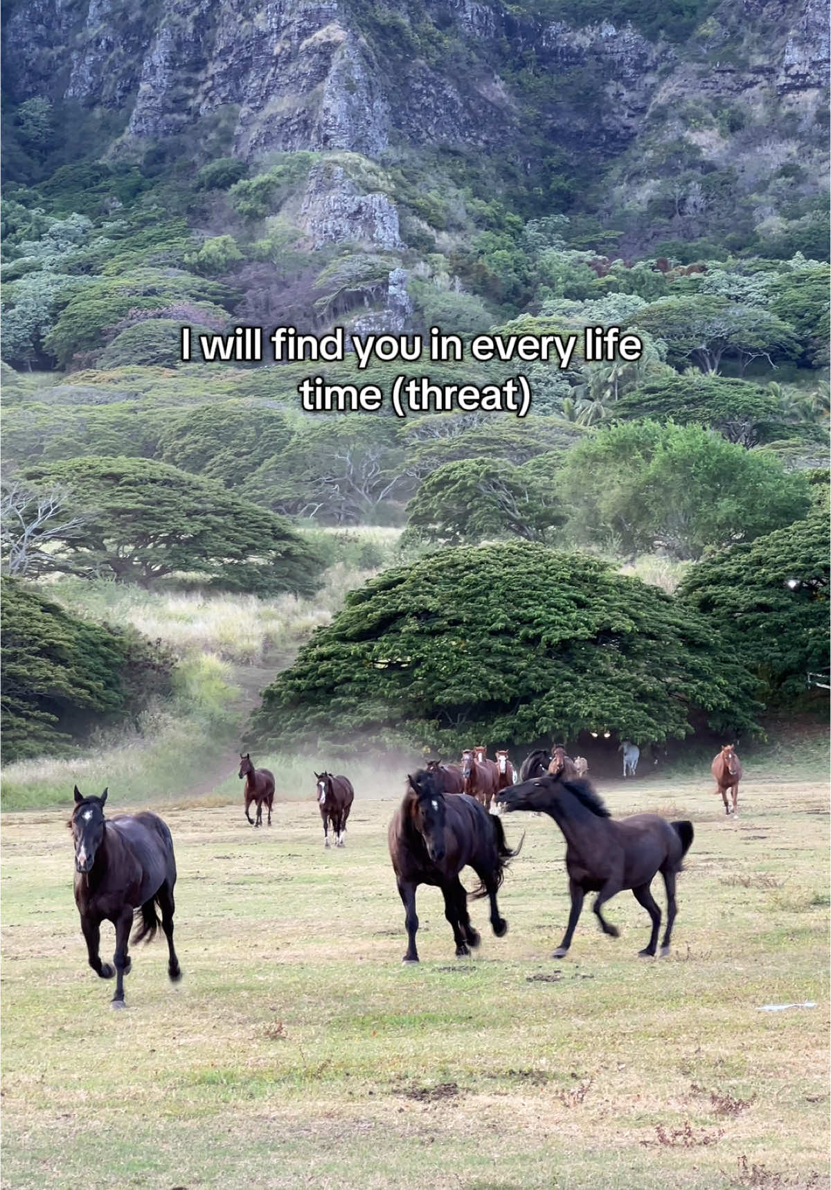 Dam that was PERSONAL #ranch #ranchlife #ranchlifestyle #horse #horsss 