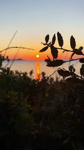#sunrise #beach #nature #sea 