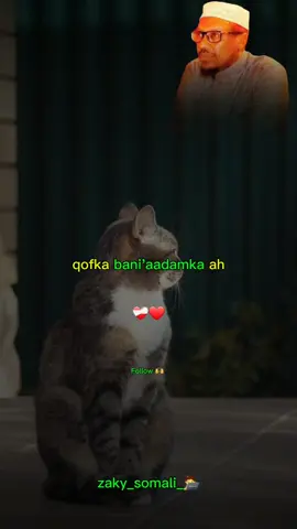 waad lumeesaa-🫶❤️‍🩹🔥-#dhiirigalin #sheekhmustafe #zaky_somali #zaky_somali_🧑‍💻 