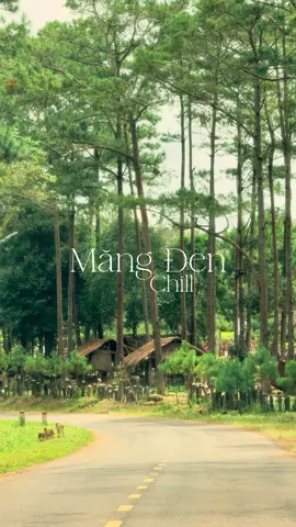 Tôi cất bước đi giữa khu rừng 🌿🍀💚 #mangdenchill #mangden #dulich #chill #canhdep 