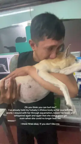 No one else will be as deserving of my love than my baby 😭💔🕊️ #fyp  #fyppppppppppppppppppppppp  #dogsoftiktok #dog  #grief 