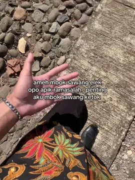 melek melek#masukberanda #fyp #boydontcry 