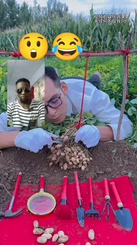 The only brilliant graduate in the village 😂😂 #viralvideos #viraltiktok #kingsfordakrugu 