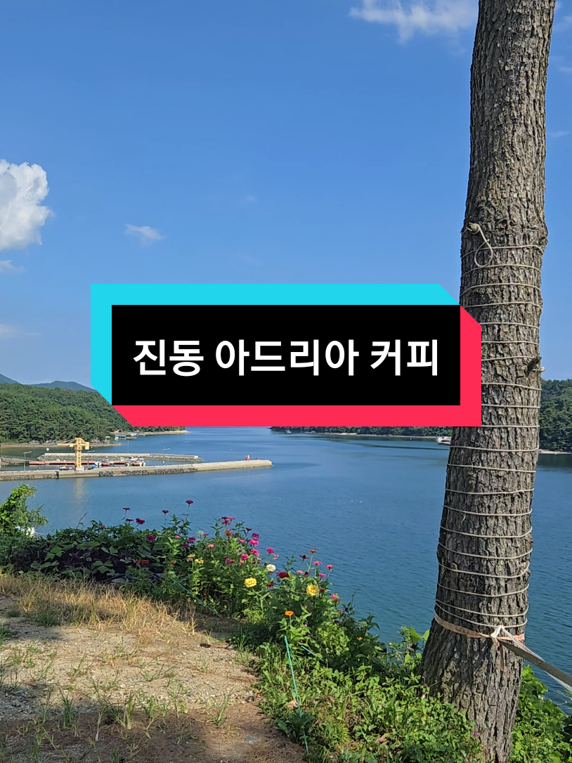 다시보자 창원시 진동에 있는 아드리아 커피 바다조망 여유로운 시간을 채우기 좋은 곳..  음악도 조망도 공간도 여유로운 곳 커피값도 싸고.  #창원시 카페 #아드리아 리조트 #아드리아 커피 #진동 #진동카페 