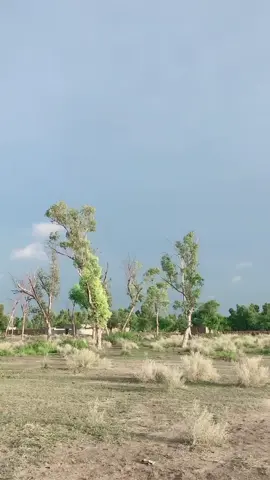 #viralkardo #foryou #viralkardo #viralvideo #loveyoutiktokteam❤️✌️ #plzfullvideowatch🙏💯 #onthisday #ppzviralmyvideo 