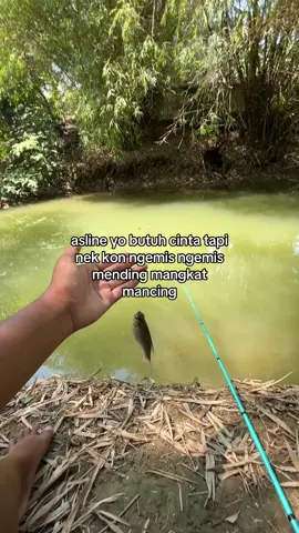 mending mancing 🤪 #promoseruweekend #mancing #boncos 
