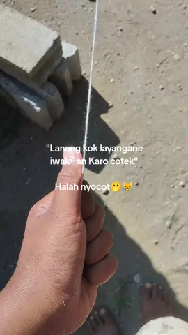 nyocot 😹😹#fypシ゚ #masukberandafyp #pelayangblitar #fypシ゚ #fyppppppppppppppppppppppp 