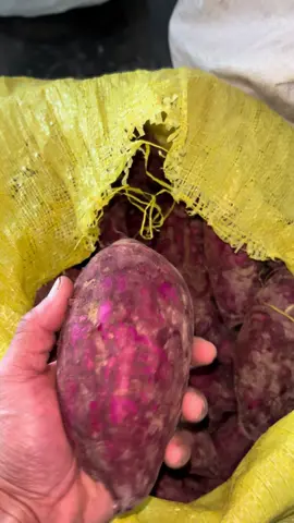 Ubi ungu 1 kg Mentah murah #ubiungu #ubiungulumer #ubi 