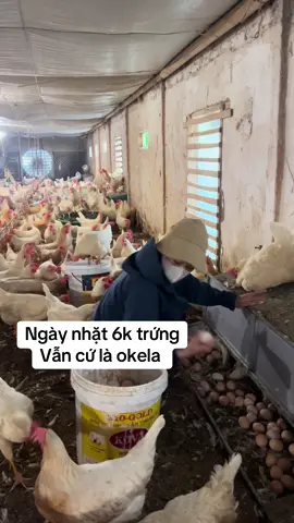 nhặt trứng lên cơ luôn trời#khanhlinhga #xuhuong #gade #nhattrung #trending 