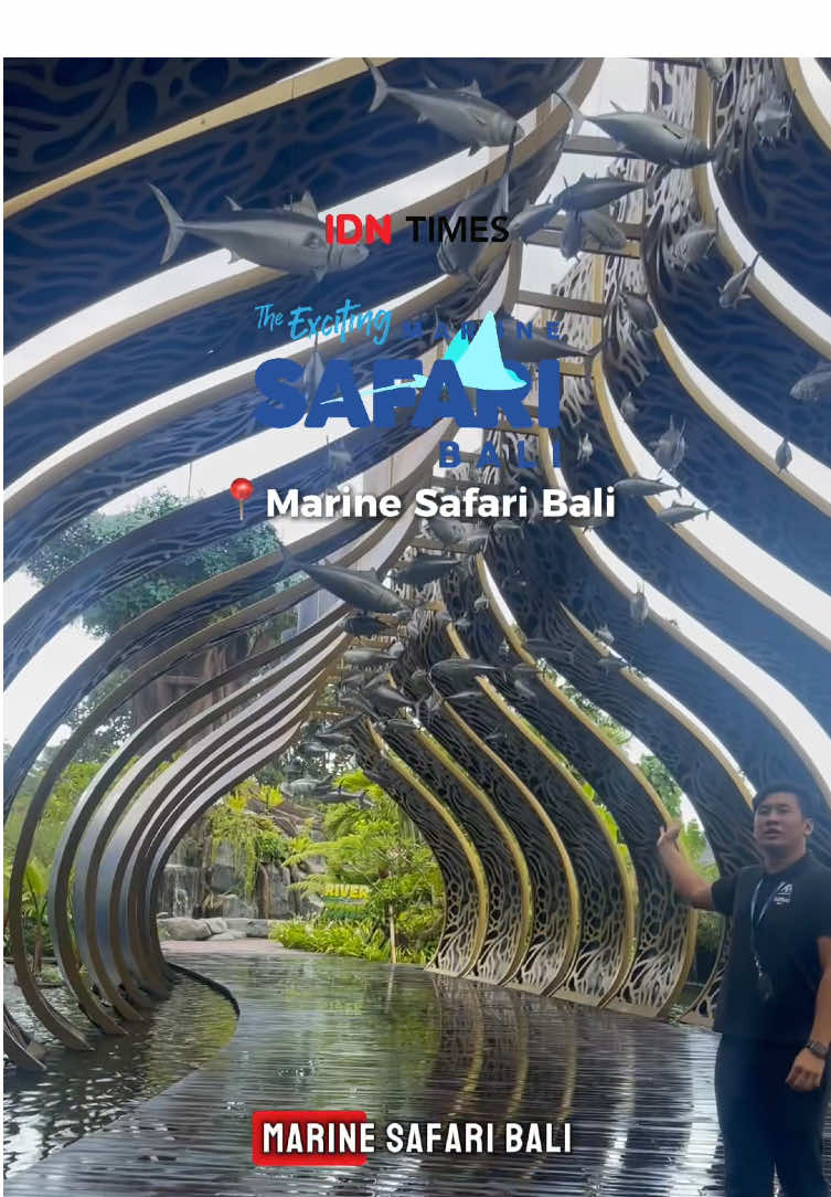 Bali bukan cuma pantai, lho! Kenalin Marine Safari Bali & Varuna destinasi keluarga kelas dunia yang wajib banget masuk bucket list liburanmu 🌊🪸 Di Varuna, kamu bisa nikmatin pengalaman makan siang sambil nonton theatrical show bawah laut pertama di Indonesia. Makanannya enak, pertunjukannya spektakuler, dan anak-anak pasti happy! Lanjut seru-seruan di Marine Safari Bali dengan 6 zona unik yang bisa kamu jelajahi. Bukan cuma hiburan, di sini anak-anak bisa berinteraksi dengan langsung dengan beberapa hewan, nonton aksi lumba-lumba, dan belajar langsung soal konservasi laut dari ahlinya 🐬 Lengkap banget, ‘kan? Hiburannya dapet, edukasi sekaligus konservasinya juga dapet! Ini sih bukan sekadar liburan, tapi pengalaman keluarga yang berkesan seumur hidup. Yuk, save dulu postingan ini buat next family trip kamu ke Bali! #idntimesads 